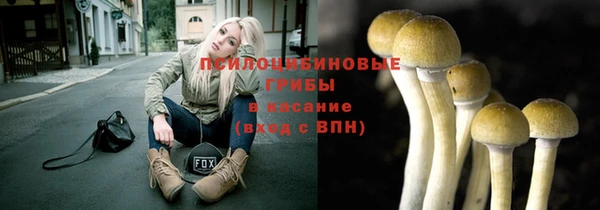 стафф Козловка