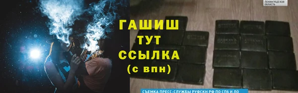 стафф Козловка