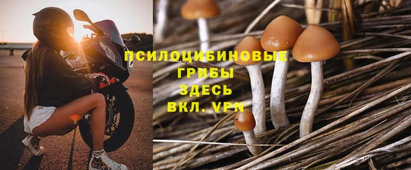 стафф Козловка