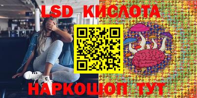 spice Дмитров